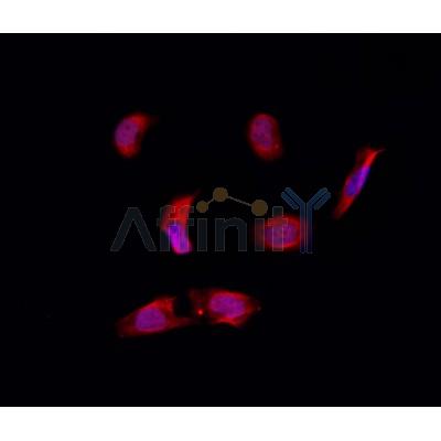 Валидация Affinity DF3711 - 14757