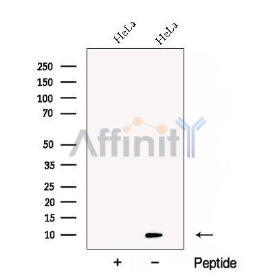Валидация Affinity DF12891 - 7633