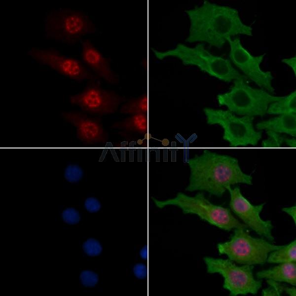 Валидация Affinity AF6283 - 3542