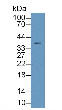 8405