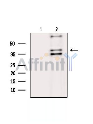 Валидация Affinity DF15134 - 11390