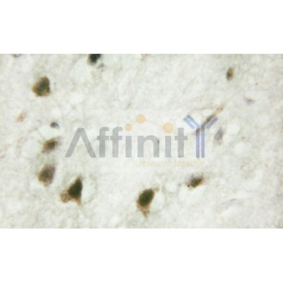Валидация Affinity AF6066 - 3268