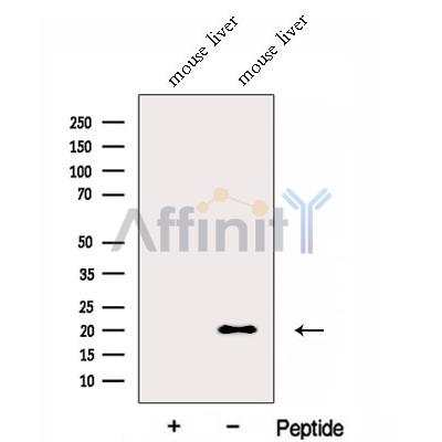 Валидация Affinity DF13019 - 7823