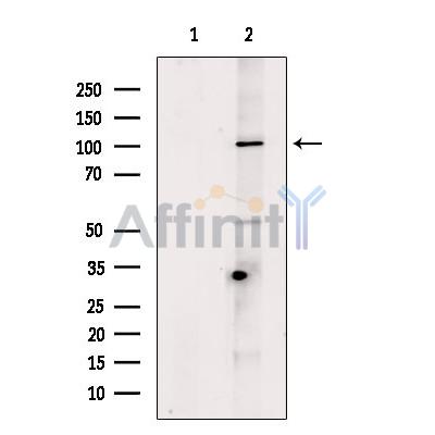 Валидация Affinity DF9439 - 22010