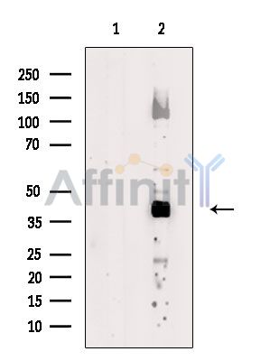 Валидация Affinity DF3753 - 14831