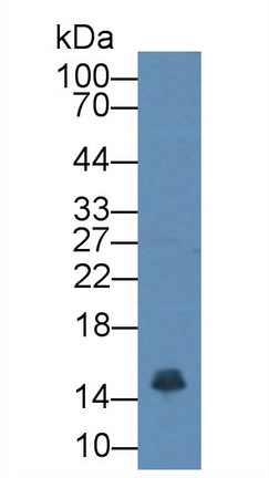 12863