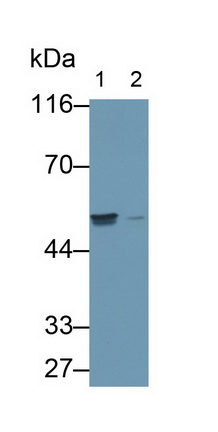11765