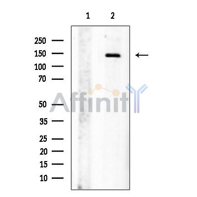 Валидация Affinity DF8269 - 20112