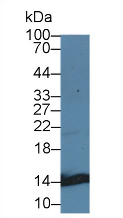 14737