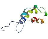 Transmembrane Protein 242 ( TMEM242)