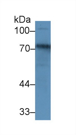 9206