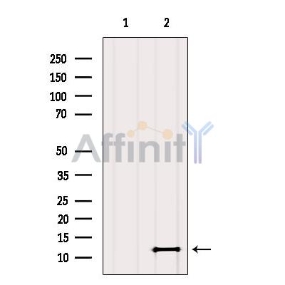 Валидация Affinity DF9904 - 22872
