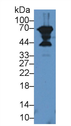 8688