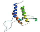 SWI/SNF Related, Matrix Associated, Actin Dependent Regulator Of Chromatin, Subfamily A, Member 2 (SMARCA2)