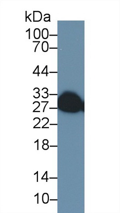 14769