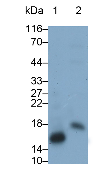 30812