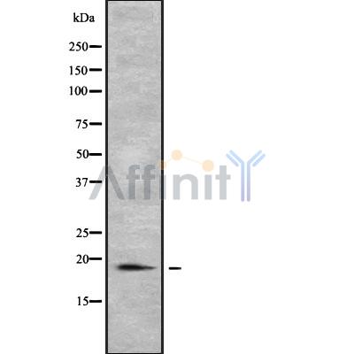 Валидация Affinity DF8201 - 20038