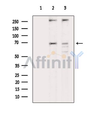 Валидация Affinity DF14659 - 10699