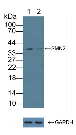 12306