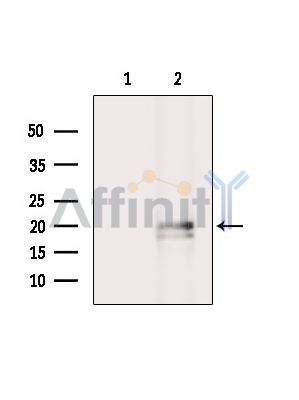 Валидация Affinity DF14618 - 10640