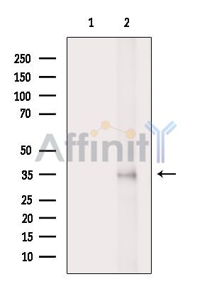 Валидация Affinity DF15893 - 12404