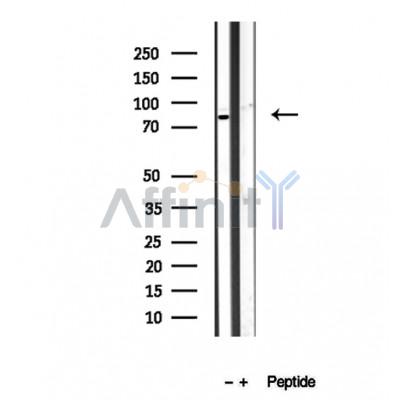 Валидация Affinity DF12356 - 6796