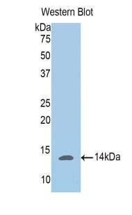 41600