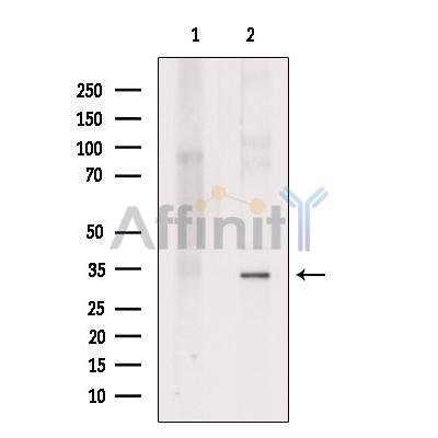 Валидация Affinity DF7261 - 18924