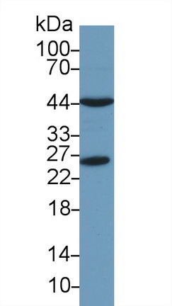 13768