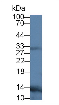 4890