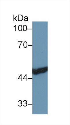 13467