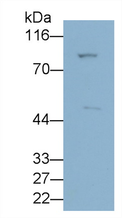 6790