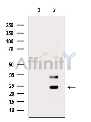 Валидация Affinity DF14312 - 10203
