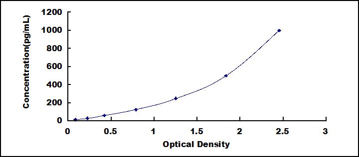 48407