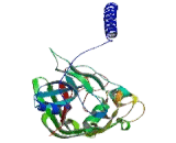 Fibrinogen Beta (FGb)