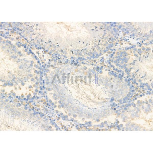 Валидация Affinity DF8939 - 21095