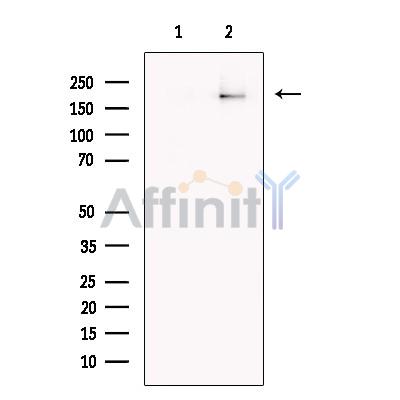 Валидация Affinity DF13536 - 8958