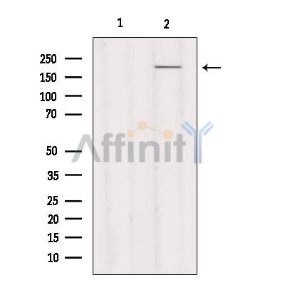Валидация Affinity DF9647 - 22388