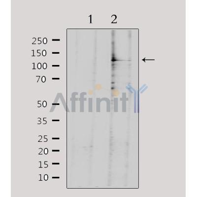 Валидация Affinity DF3032 - 13764