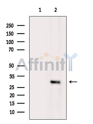 Валидация Affinity DF14353 - 10260