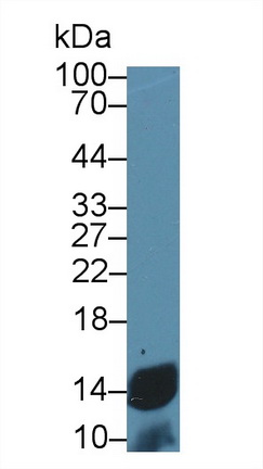 17603