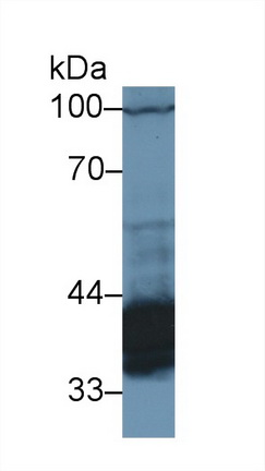 13465