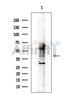 Валидация Affinity DF8593 - 20508