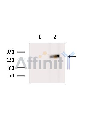 Валидация Affinity DF14707 - 10770