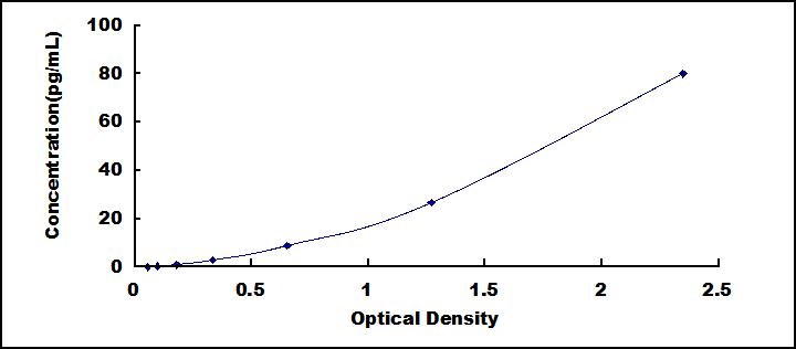 61023