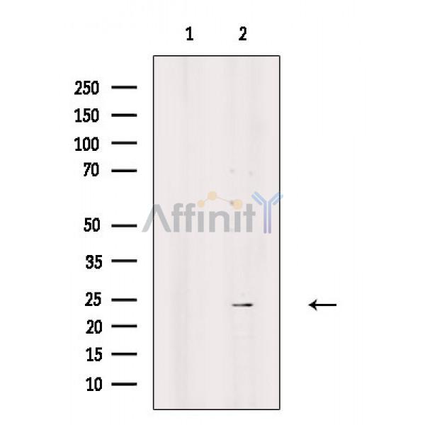 Валидация Affinity DF3242 - 14080
