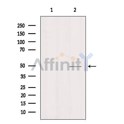 Валидация Affinity DF9632 - 22359