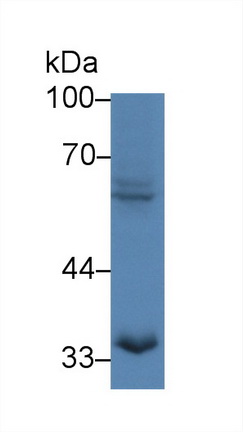 13939