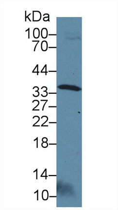 8807