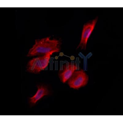 Валидация Affinity DF12421 - 6929